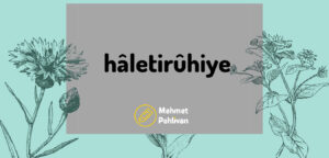 Read more about the article Hâletirûhiye